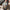 Thumbnail for Death of the Author by Nnedi Okorafor (Starbright February 2025 Exclusive) image