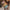Thumbnail for Afterlight Exclusive: The Brown Sisters trilogy by Talia Hibbert image