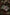 Thumbnail for The Falconer trilogy by Elizabeth May (Illumicrate Exclusive) image