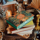 We All Fall Down by Rose Szabo (Illumicrate 'Fight for Your Future' Exclusive book)